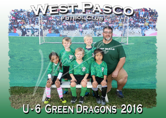 112- U - 6  Green Dragons  2016