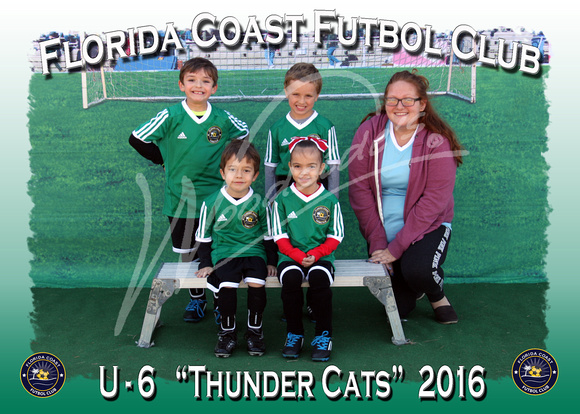 115- U6 Thunder Cats