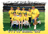 Hernando YMCA Baseball 4-19&21-2012