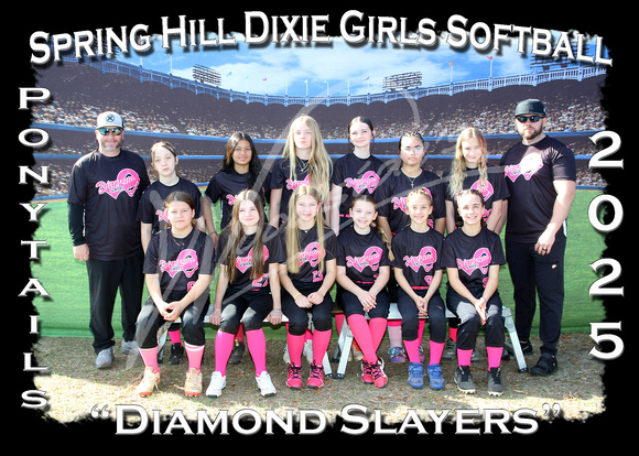 210- Ponytails Diamond Slayers