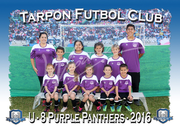 110- U8 Purple Panthers