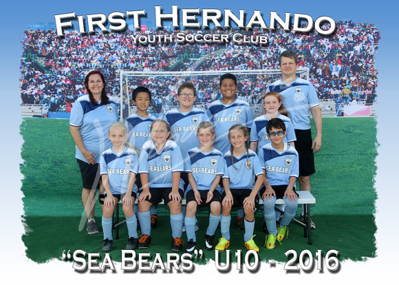 149- Sea Bears