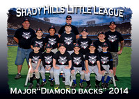 Shady Hills LL Baseball Fall 2014