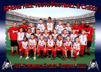 Screaming Eagles (SHYFC) March 2022