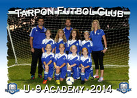 Tarpon Futbol Club 2014