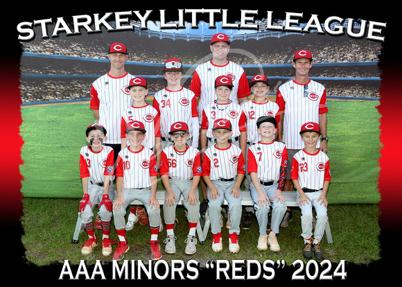 109- AAA Minors Red