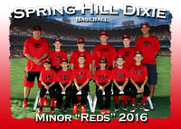 Spring Hill Dixie Fall 2016