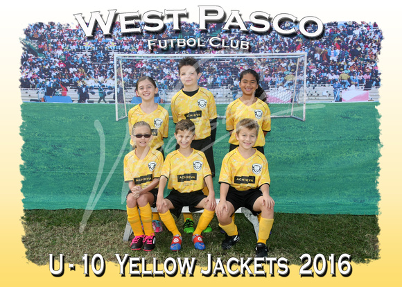 111- U - 10  Yellow Jackets  2016