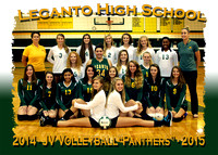 Lecanto HS Volleyball 2014-2015