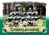 Weeki Wachee Cheerleaders 2011-2012