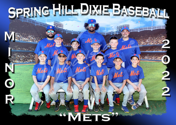 117- Minor Mets