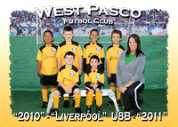 West Pasco Futbol Club- Group 1 11-20-10
