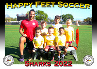 Happy Feet South Tampa March 2022