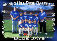 Spring Hill Dixie Baseball Spring 2022