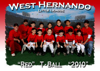 West Hernando Little League- Tee Ball 2-27-10
